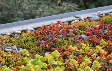 the cost of Kentchurch green roof installation