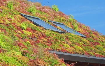 Kentchurch living roof systems