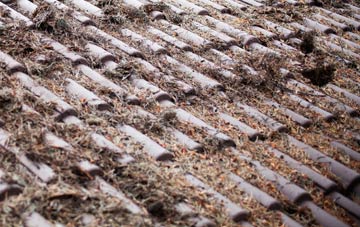 Kentchurch roof cleaning companies