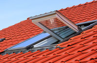 Kentchurch roof window